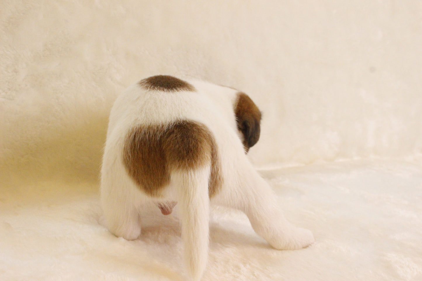 ももベビー③ 男の子