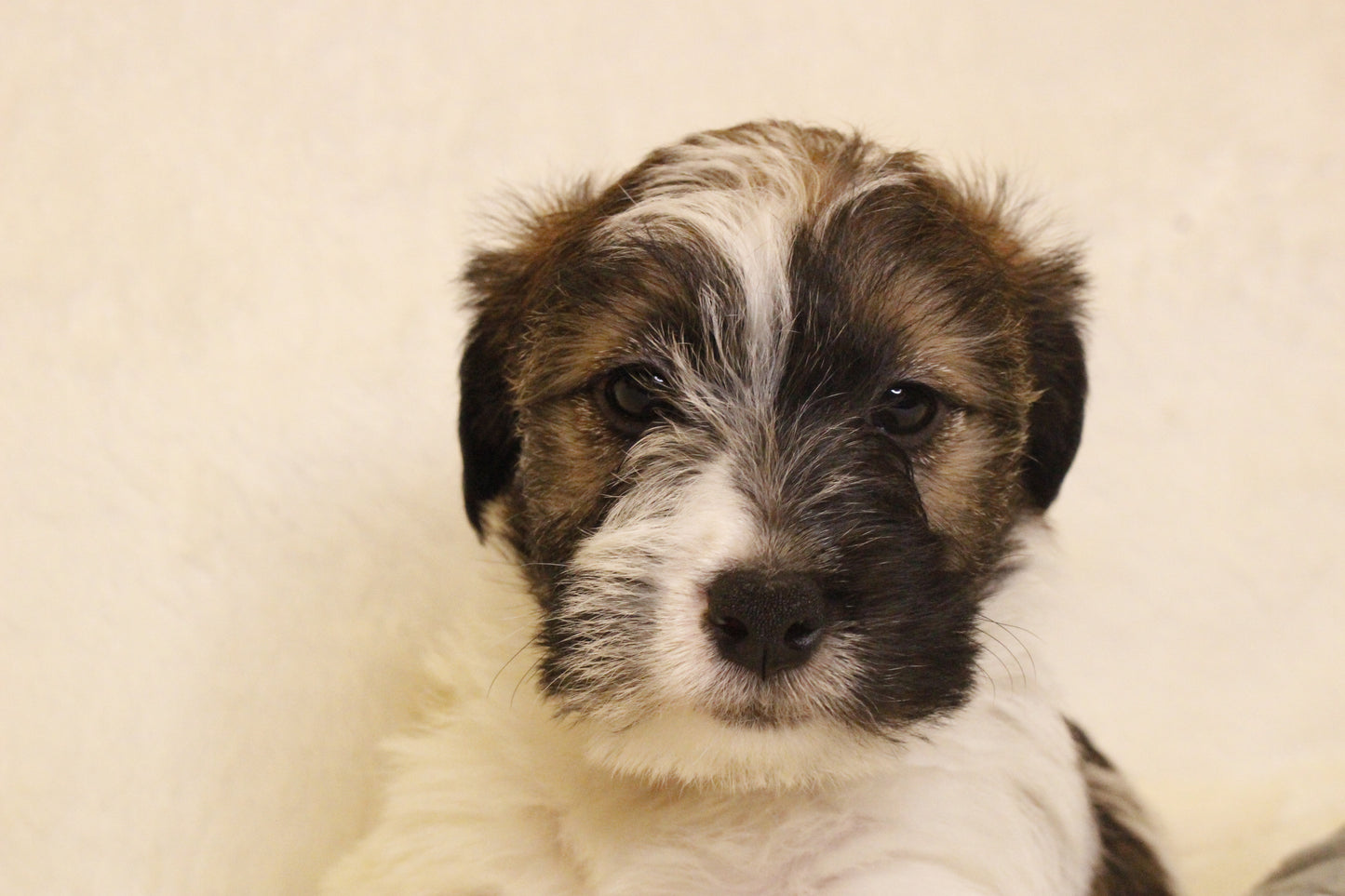 ミルベビー④ 男の子