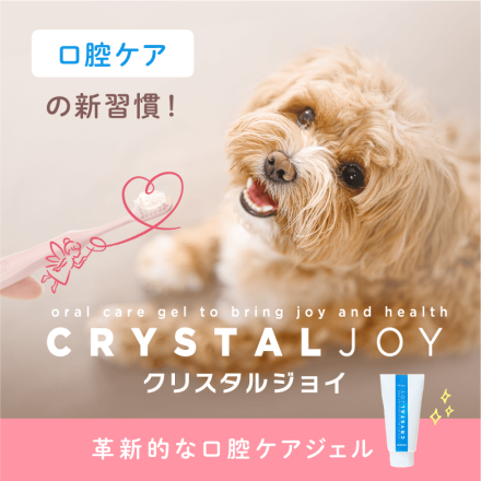 CRYSTAL JOY (クリスタルジョイ)