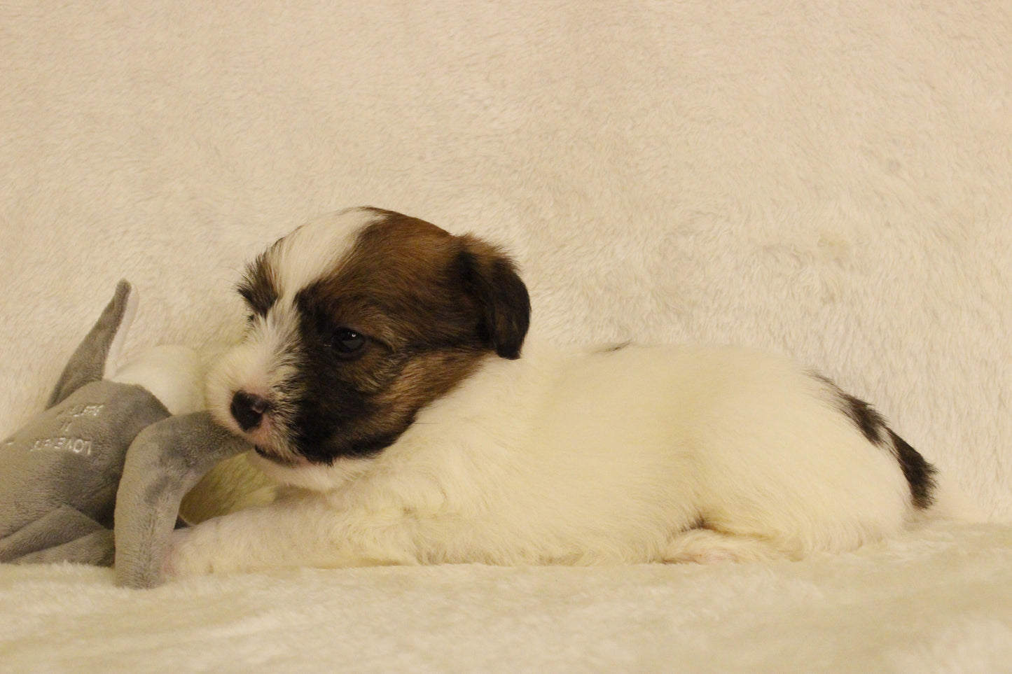 ミルベビー① 男の子