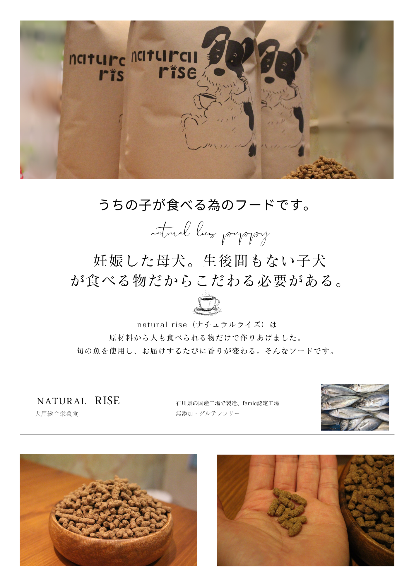 (子犬用)natural rise パピー(ナチュラル ライズ)