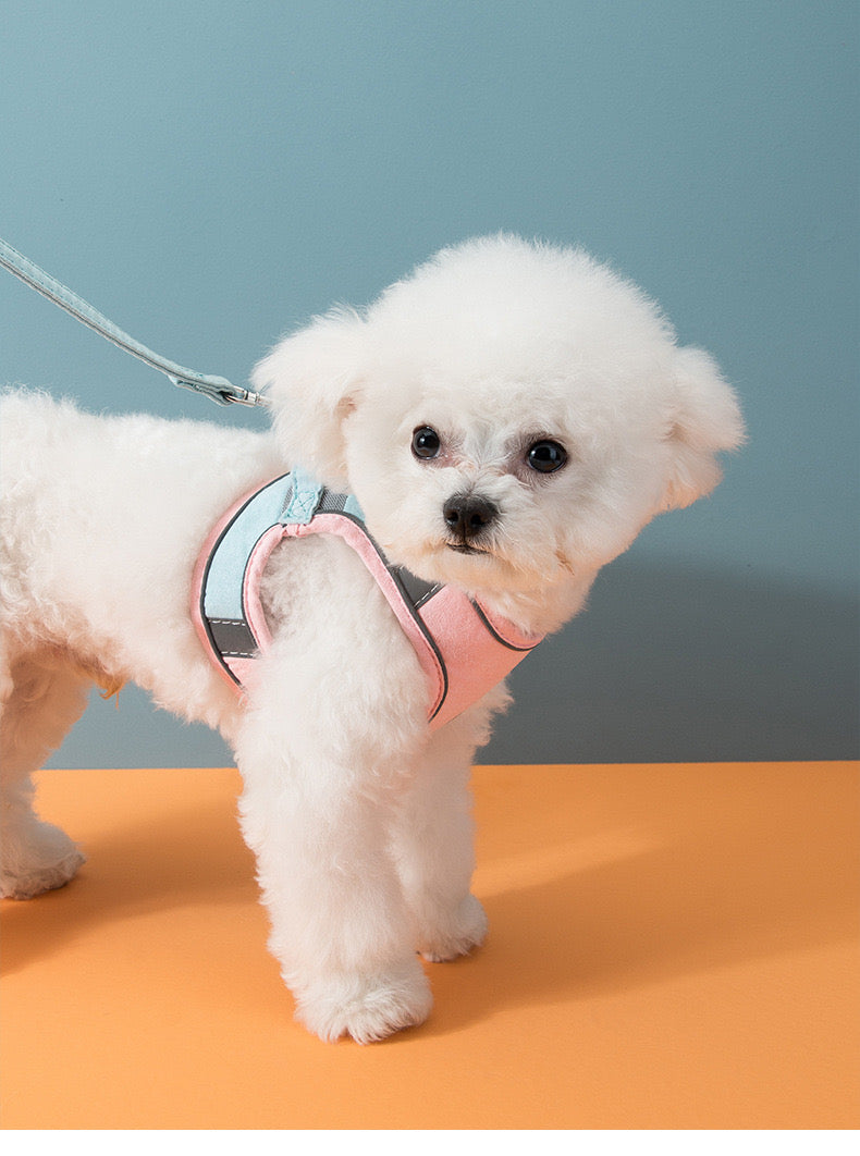 犬猫兼用お出かけ用ハーネス pastel blue & pink
