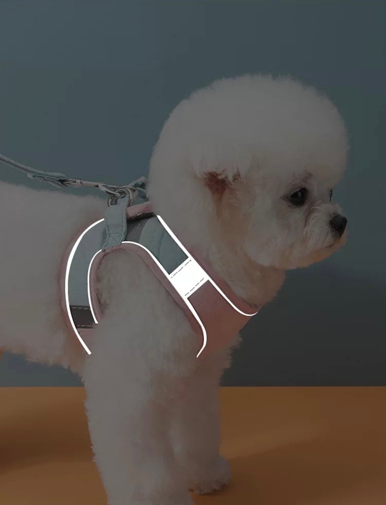 犬猫兼用お出かけ用ハーネス pastel blue & pink