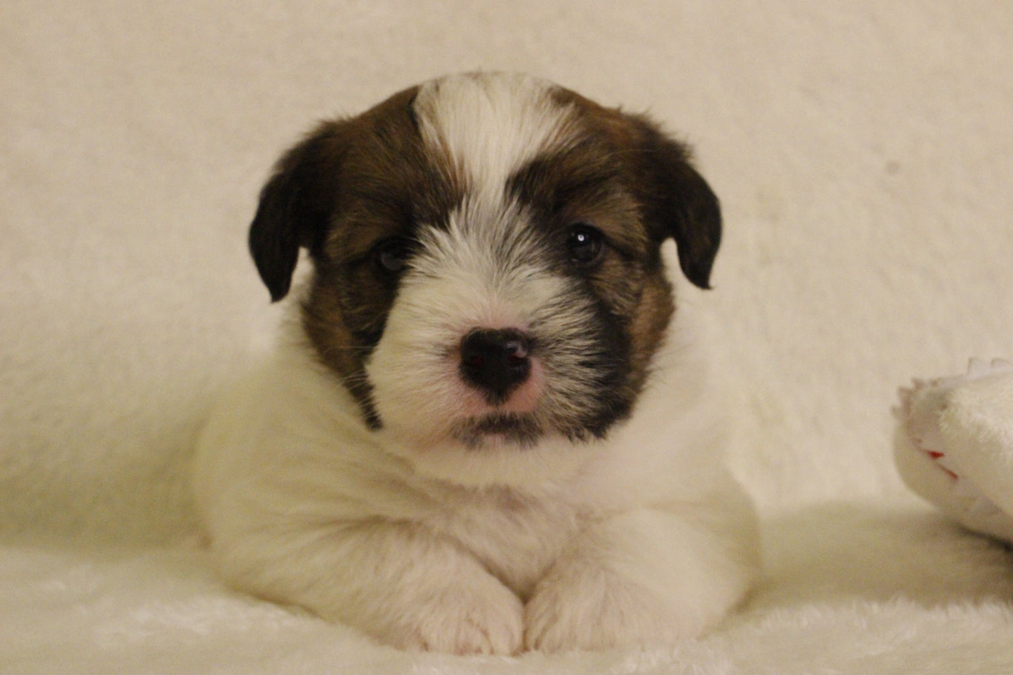 ミルベビー① 男の子