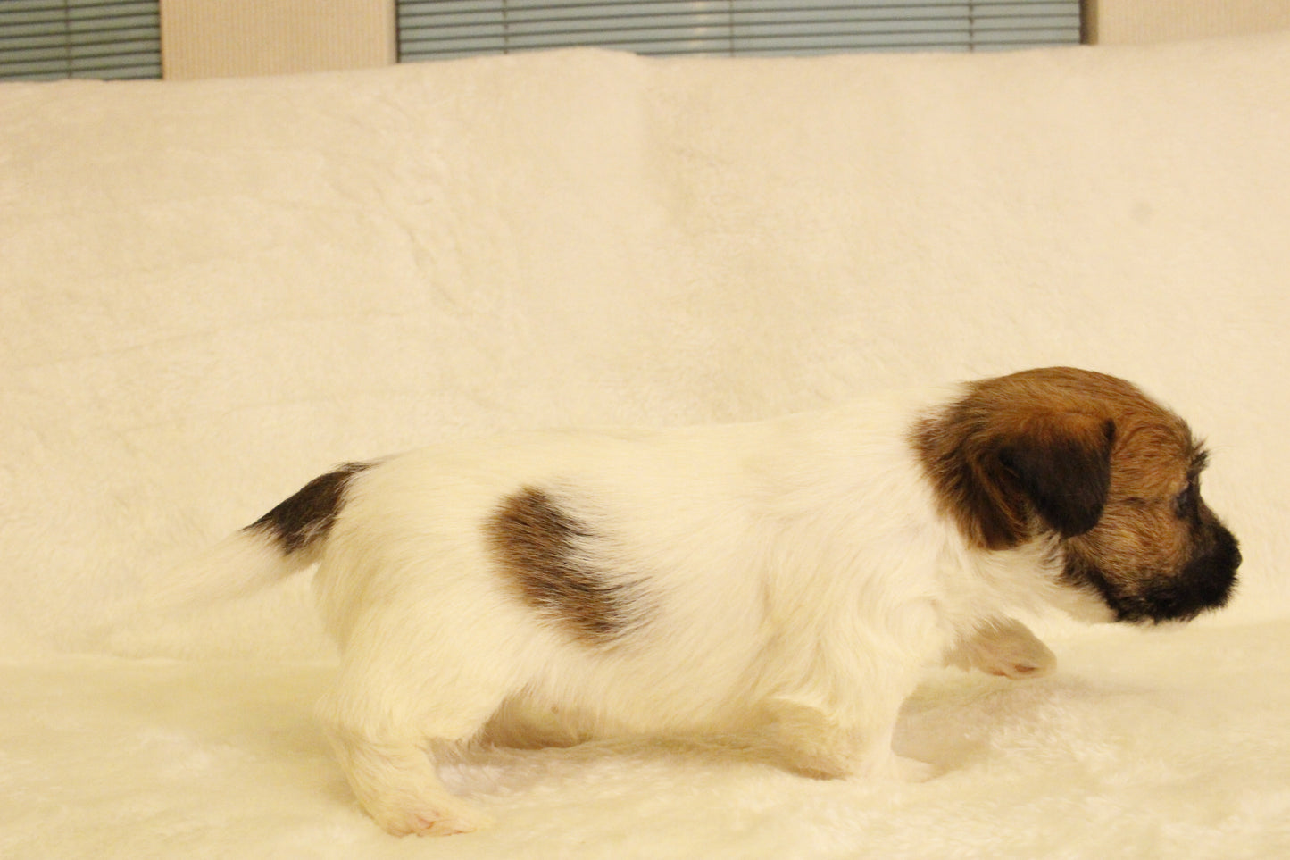 ミルベビー② 男の子