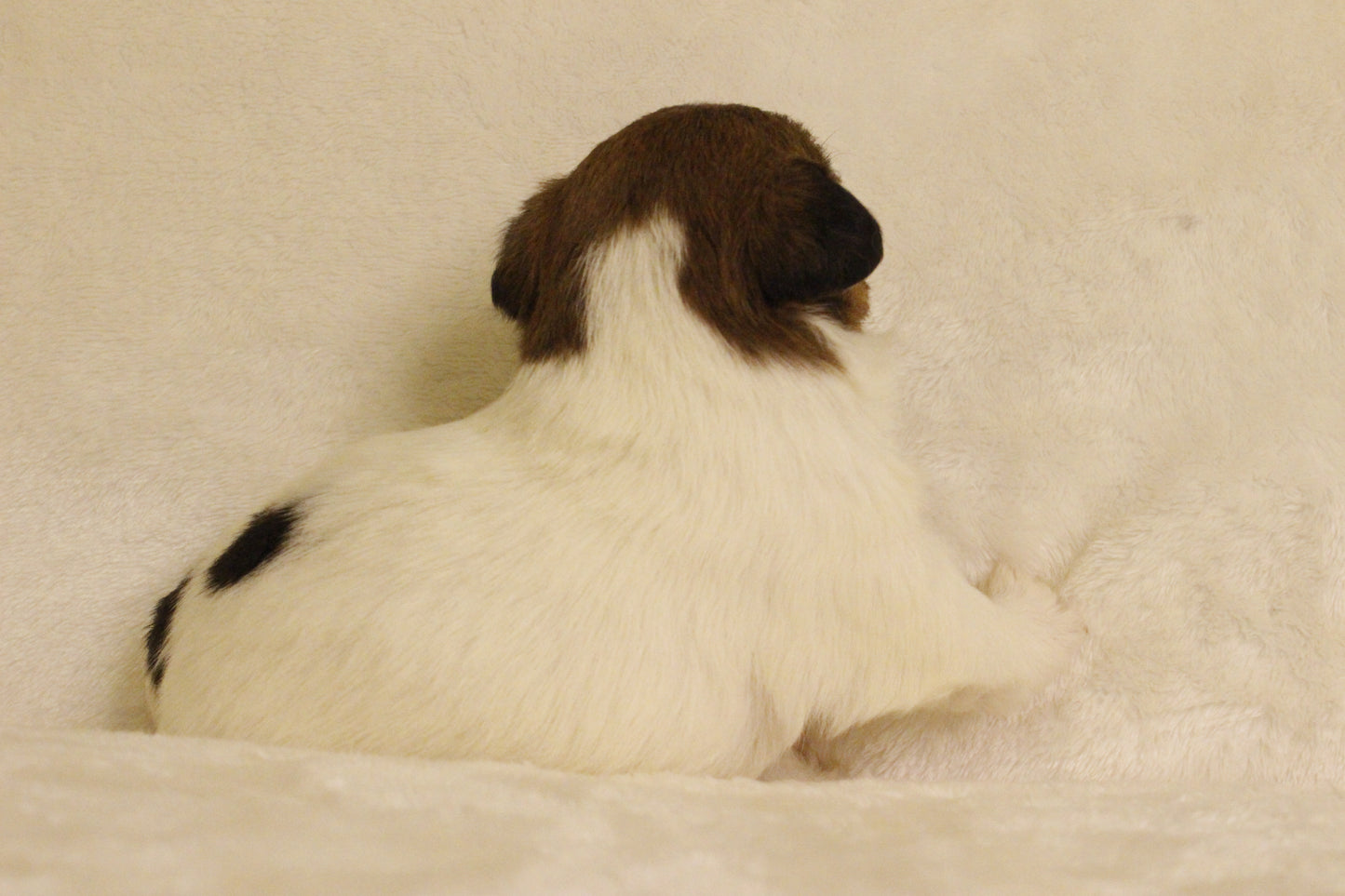 ミルベビー③ 女の子