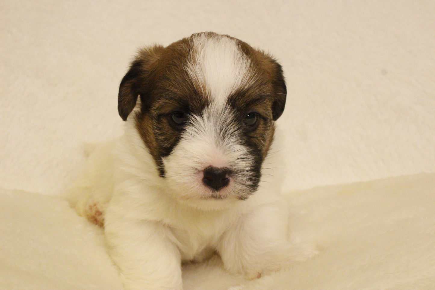 ミルベビー① 男の子