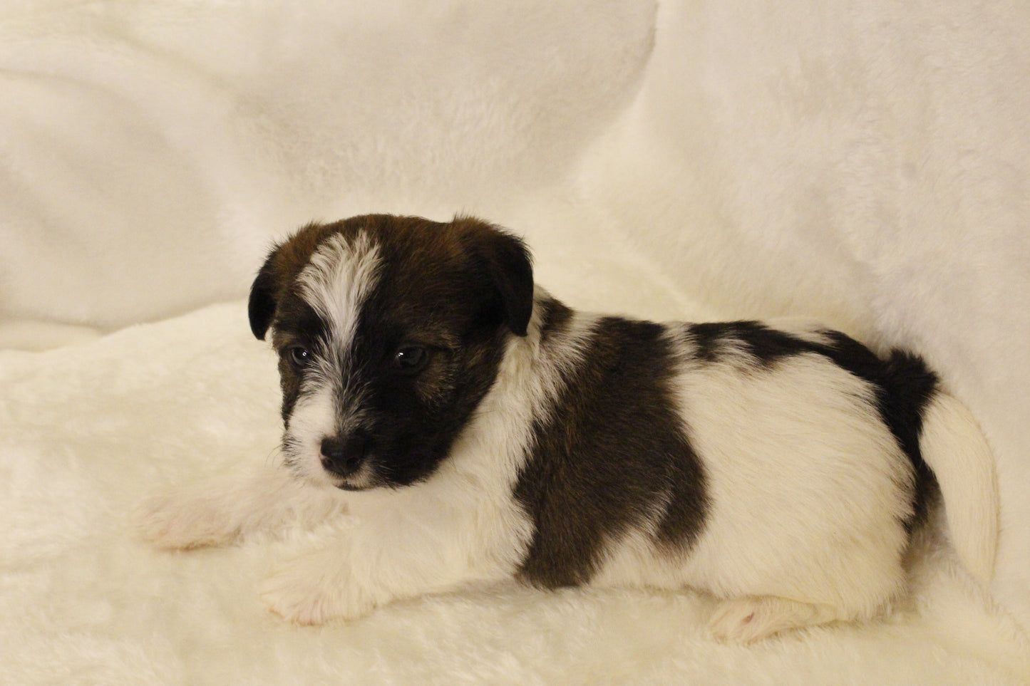 ミルベビー④ 男の子