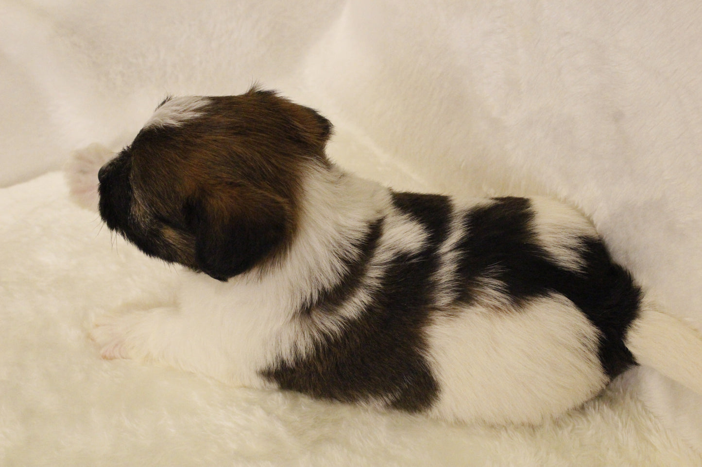 ミルベビー④ 男の子