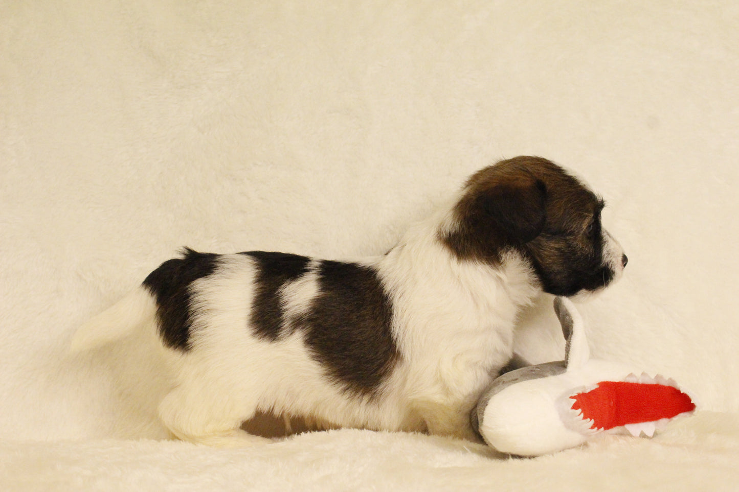 ミルベビー④ 男の子