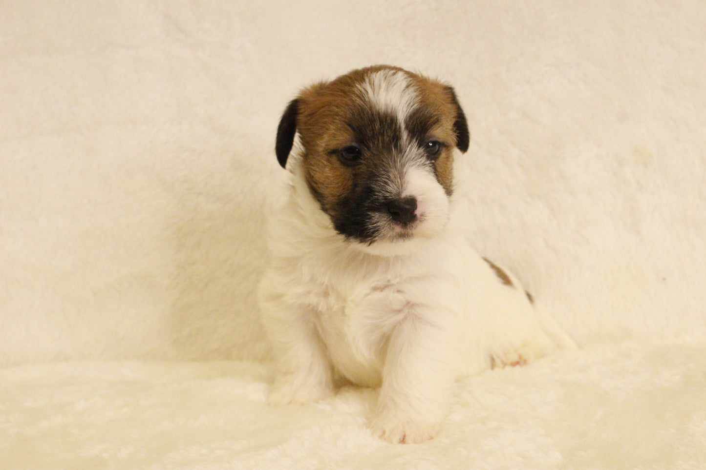 ミルベビー② 男の子