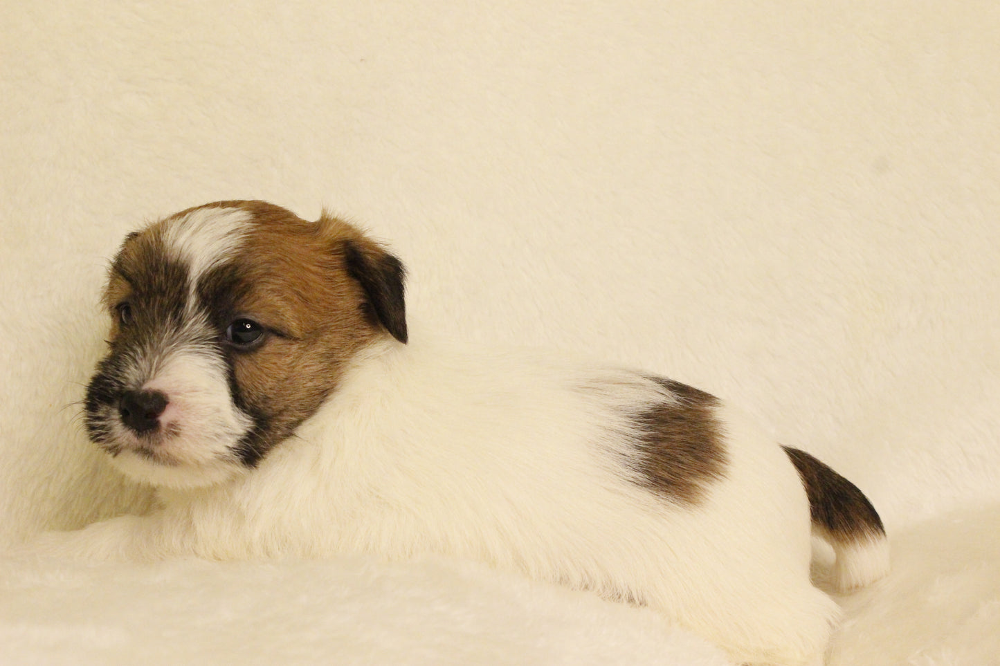 ミルベビー② 男の子