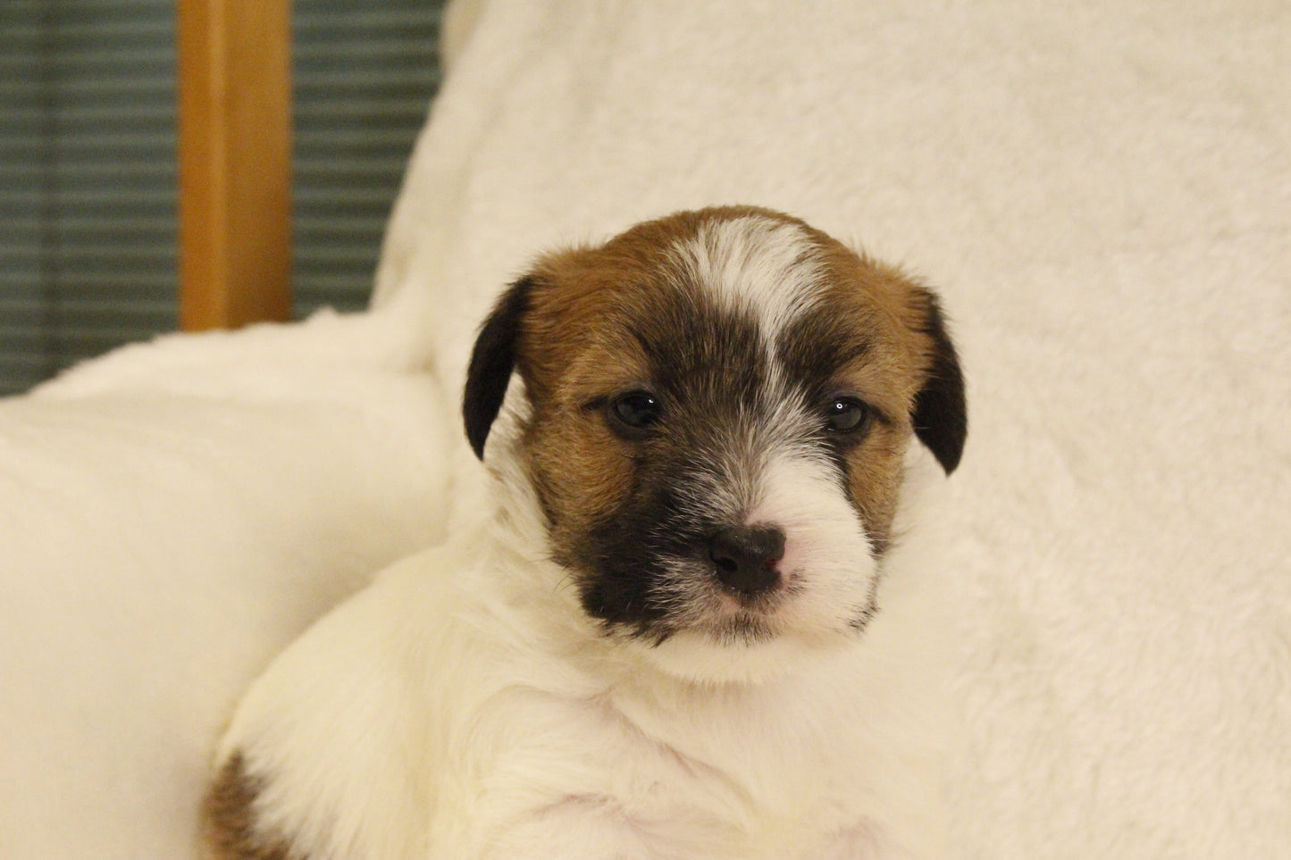 ミルベビー② 男の子