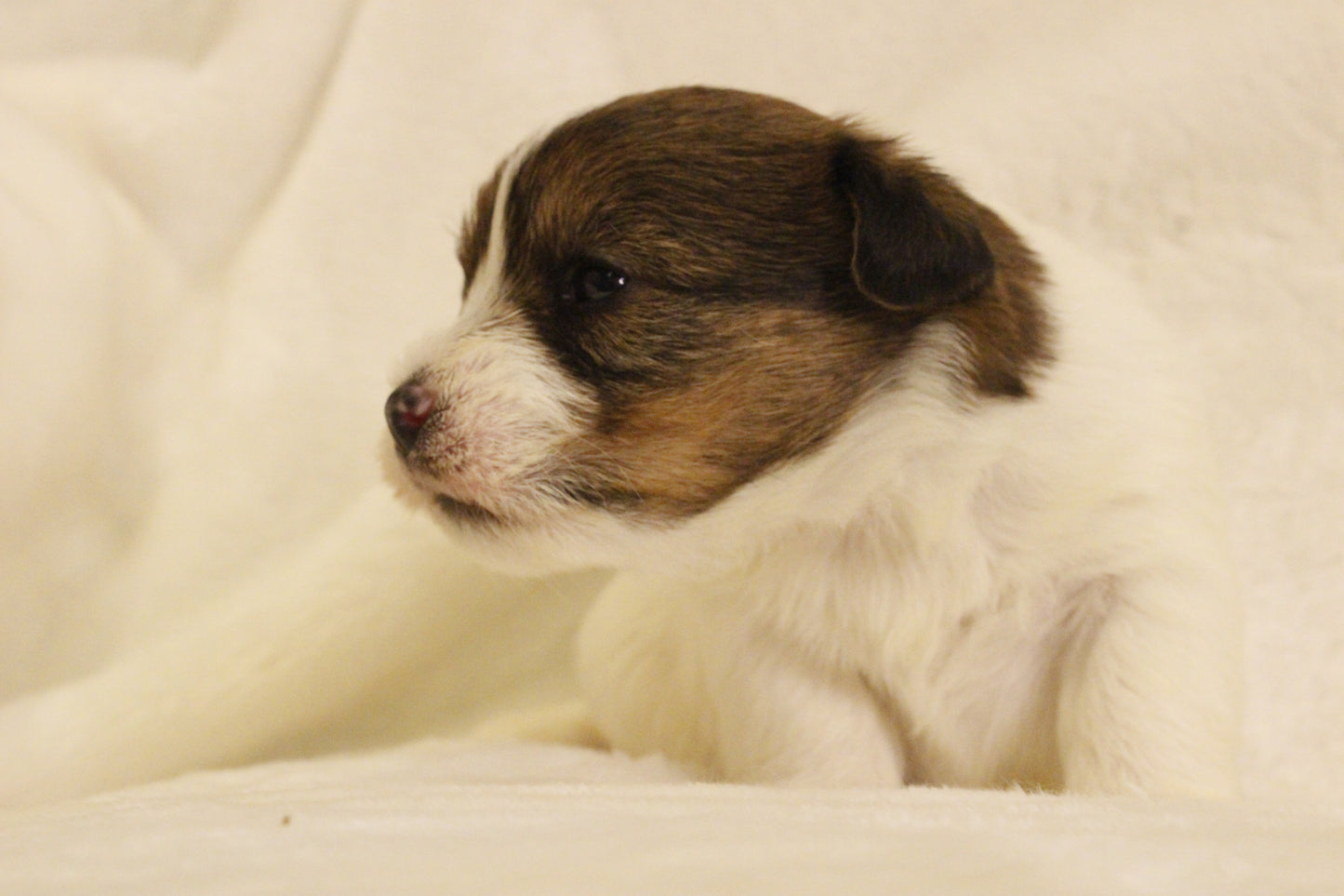 ミルベビー③ 女の子