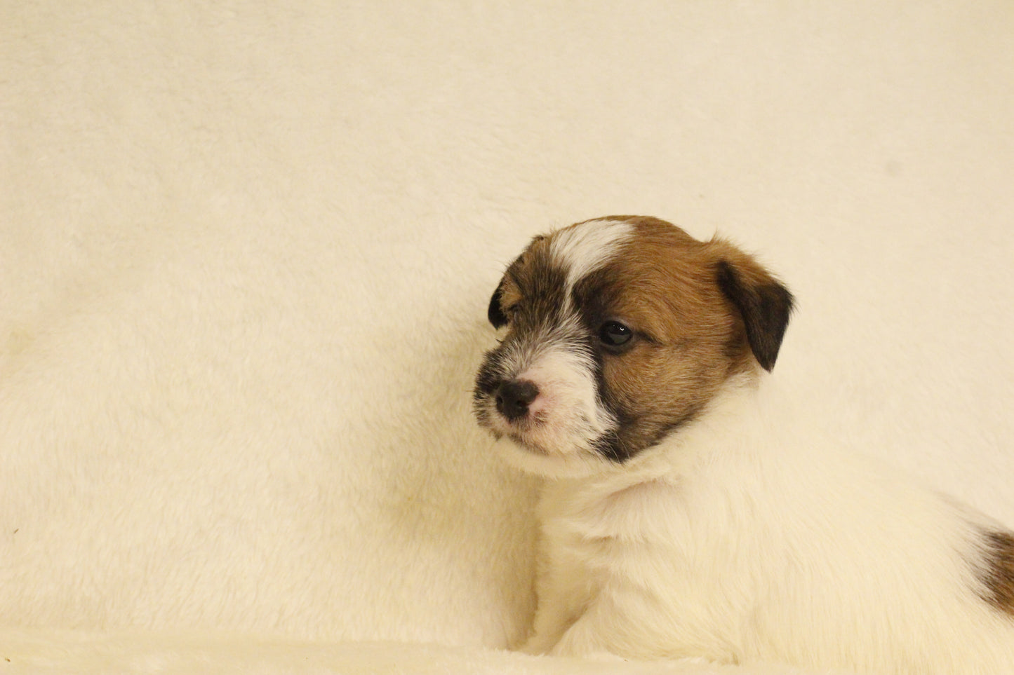 ミルベビー② 男の子