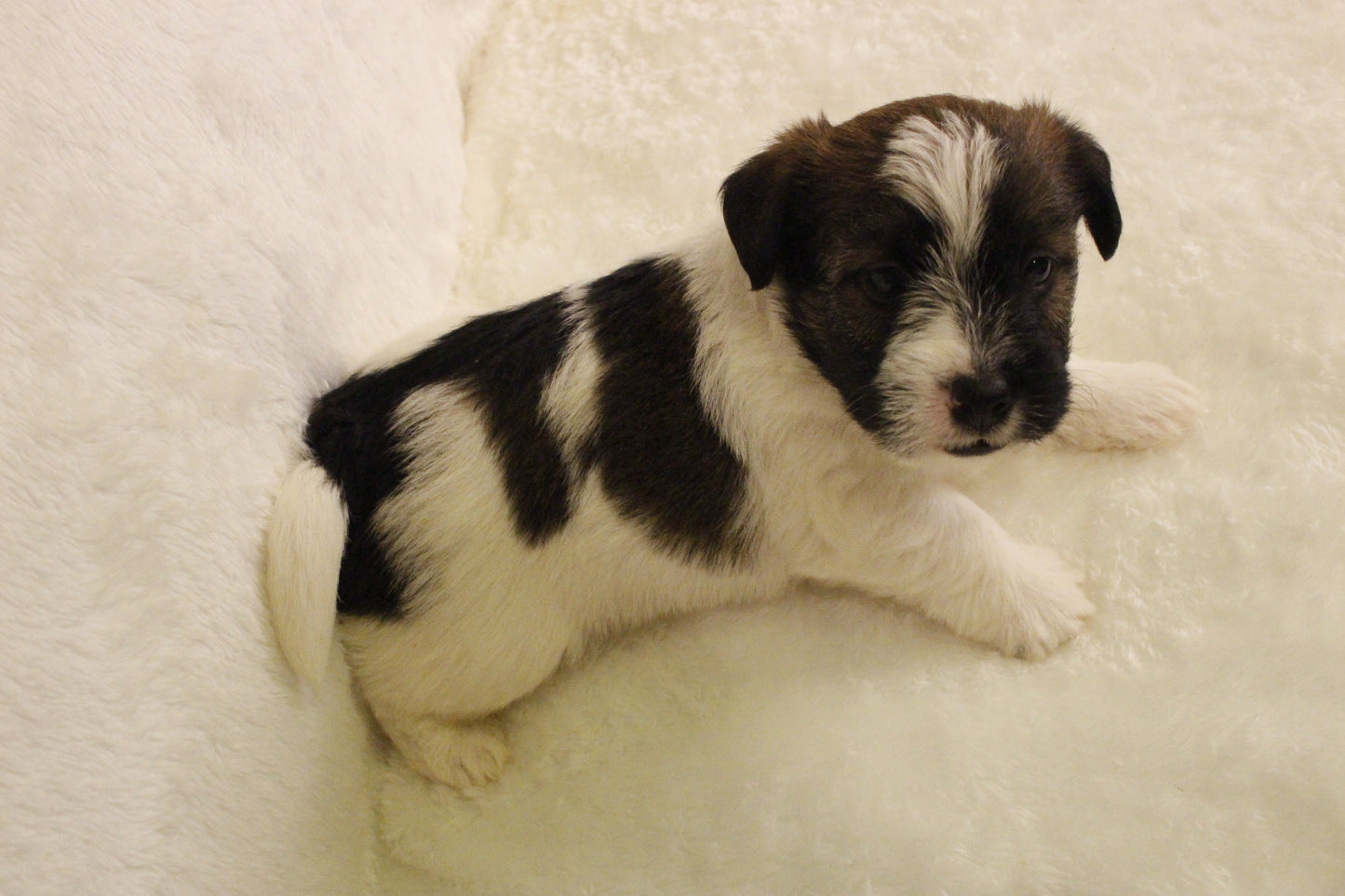 ミルベビー④ 男の子