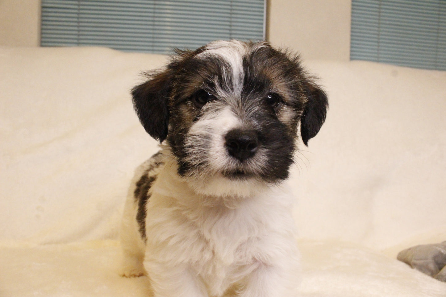 ミルベビー④ 男の子