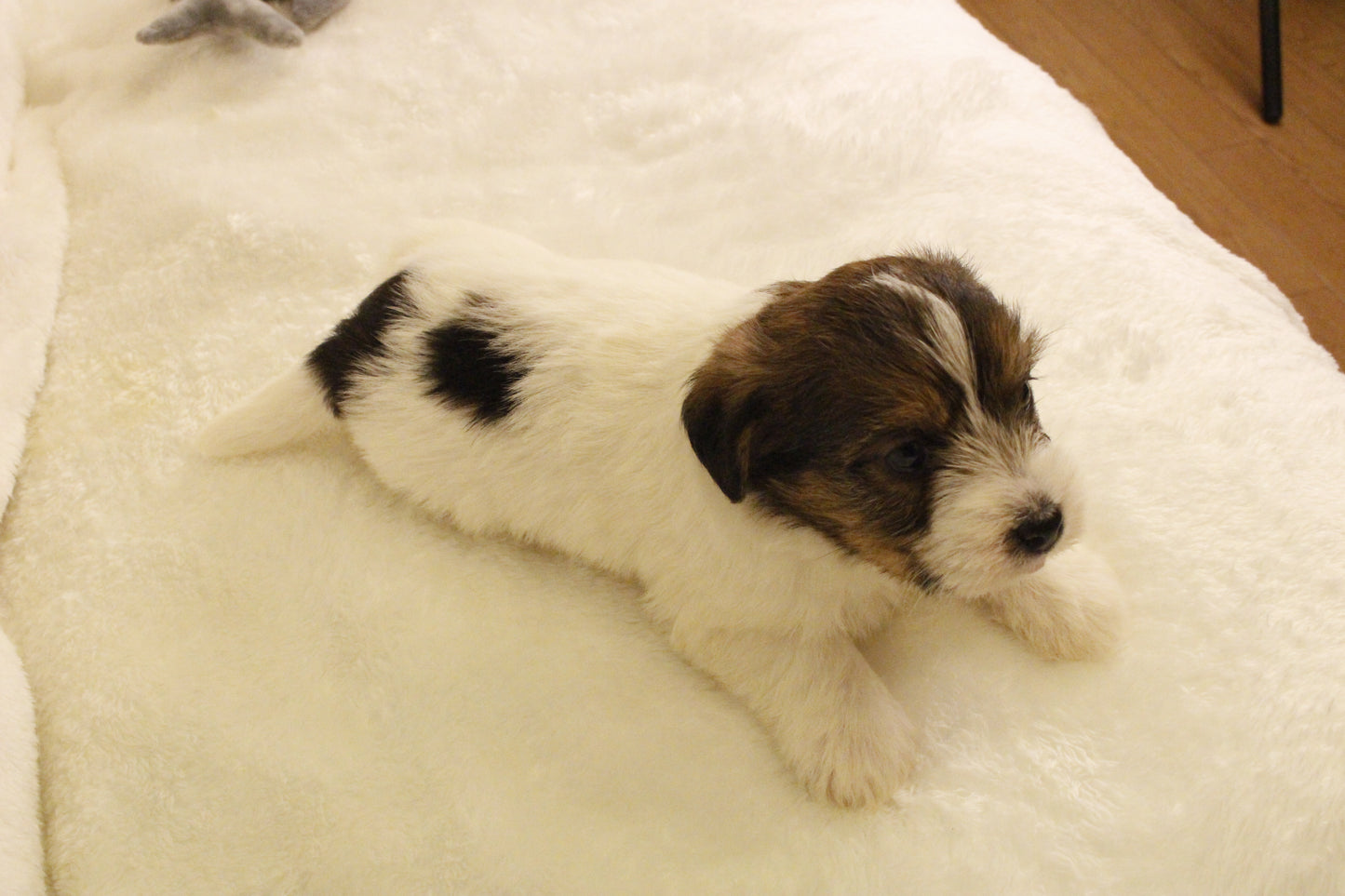 ミルベビー③ 女の子