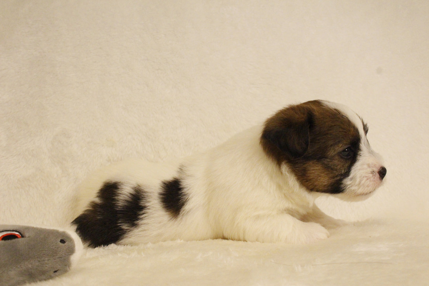 ミルベビー① 男の子