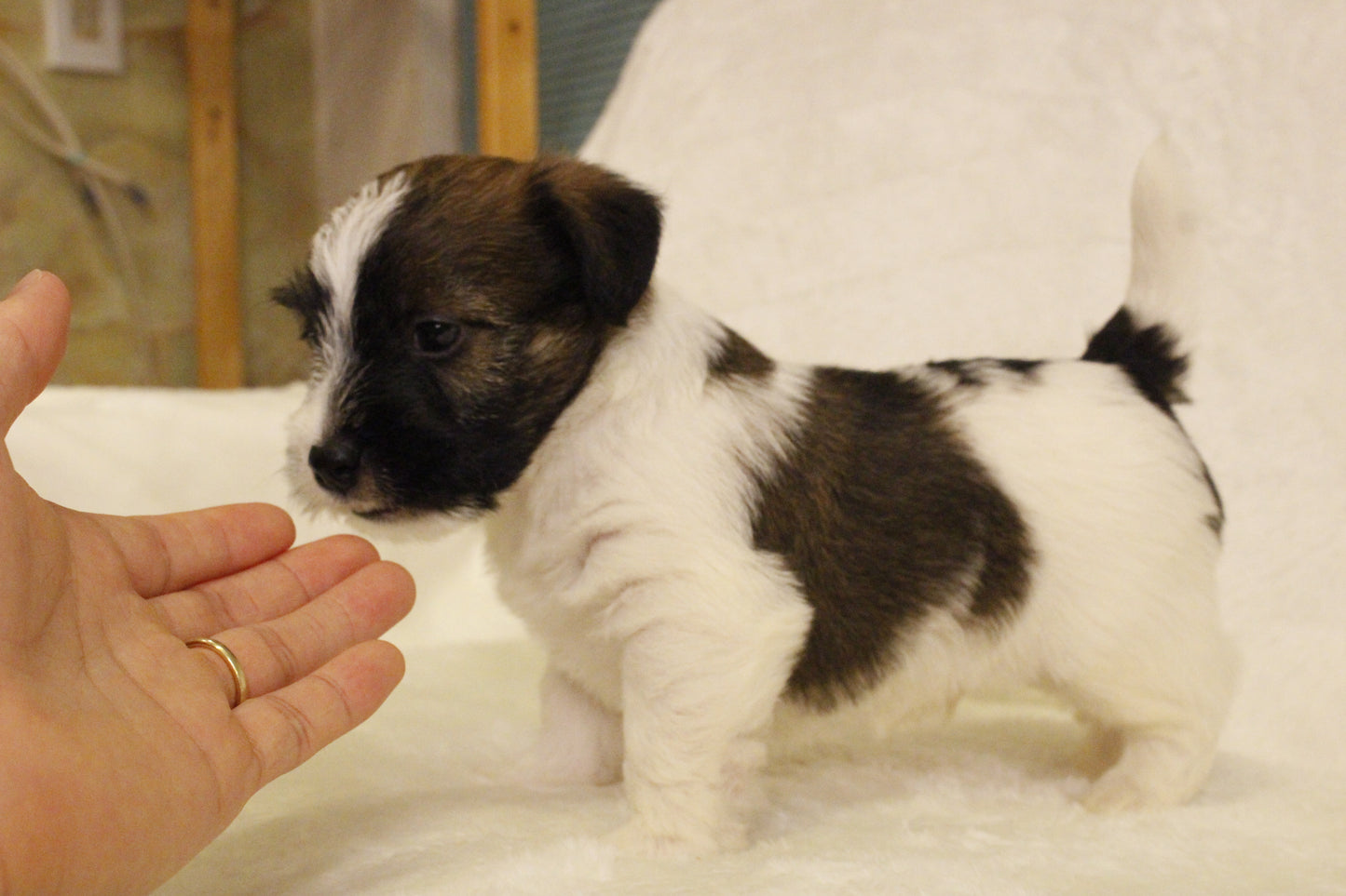 ミルベビー④ 男の子