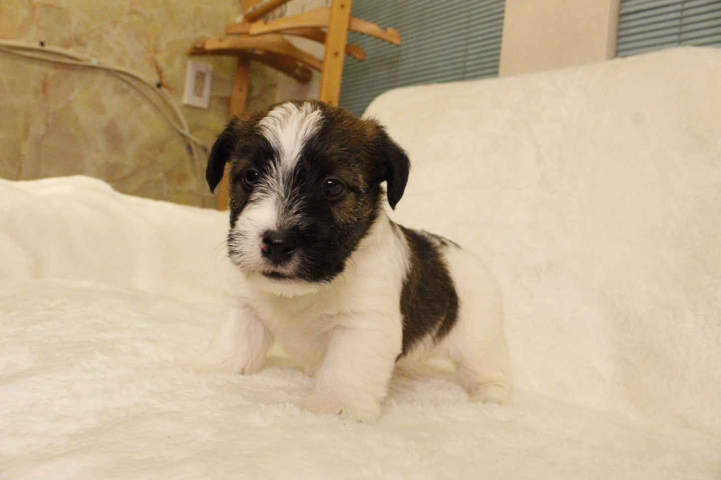 ミルベビー④ 男の子