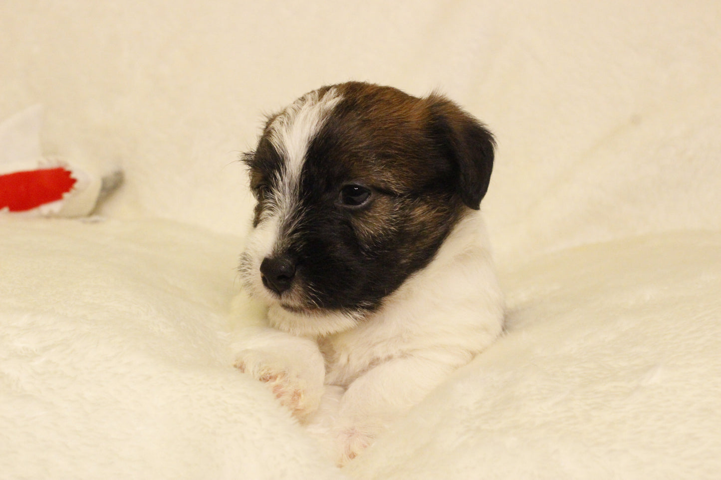 ミルベビー④ 男の子