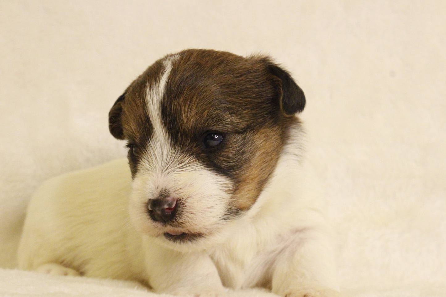 ミルベビー③ 女の子