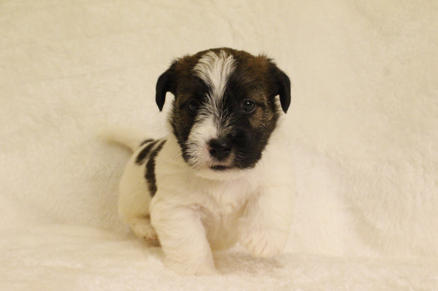 ミルベビー④ 男の子