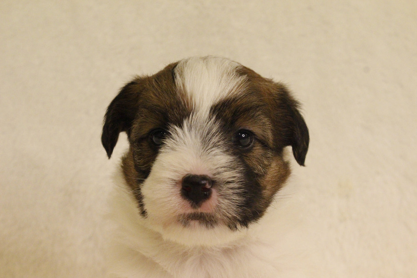 ミルベビー① 男の子