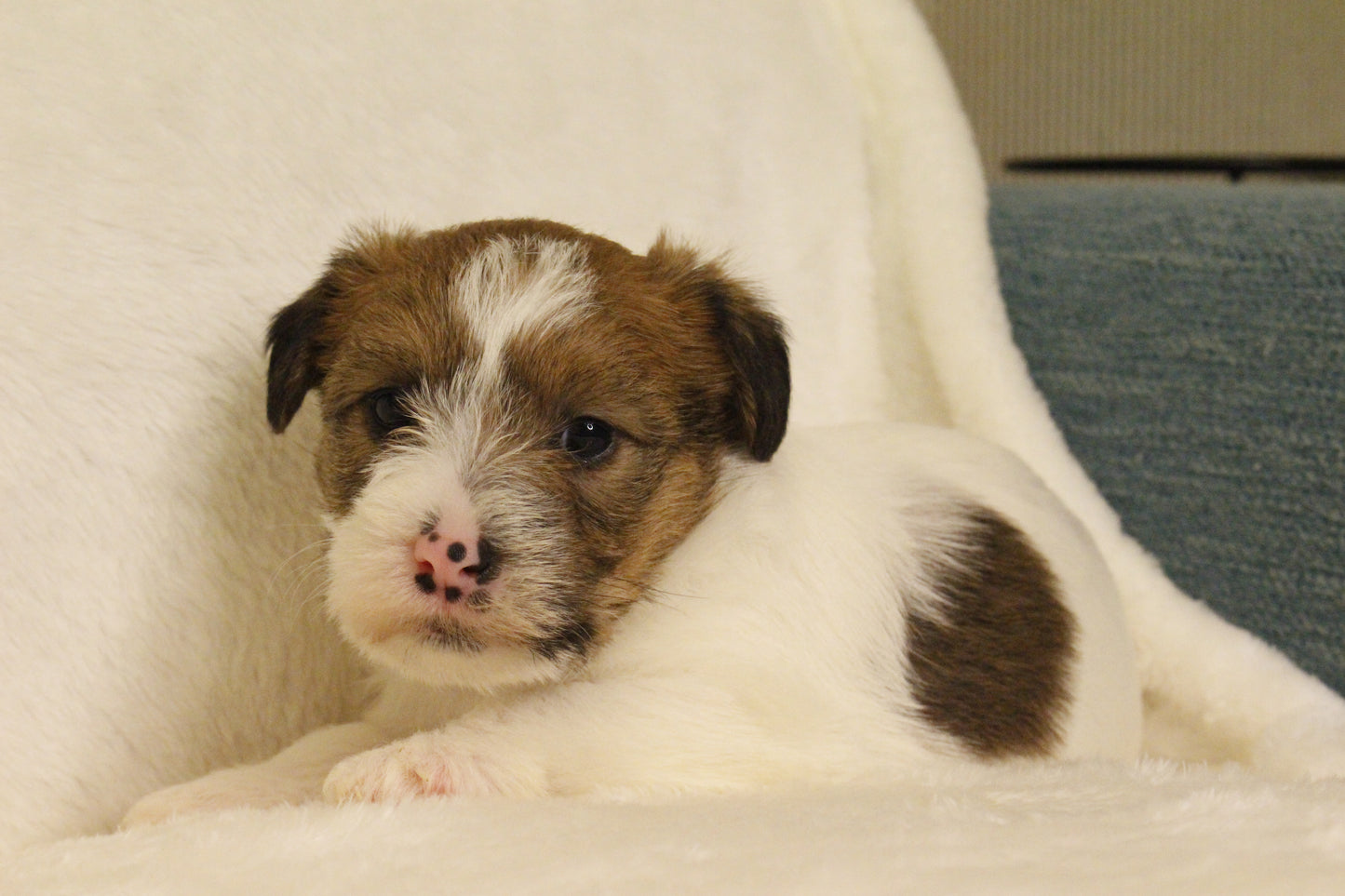 ミルベビー⑤ 女の子