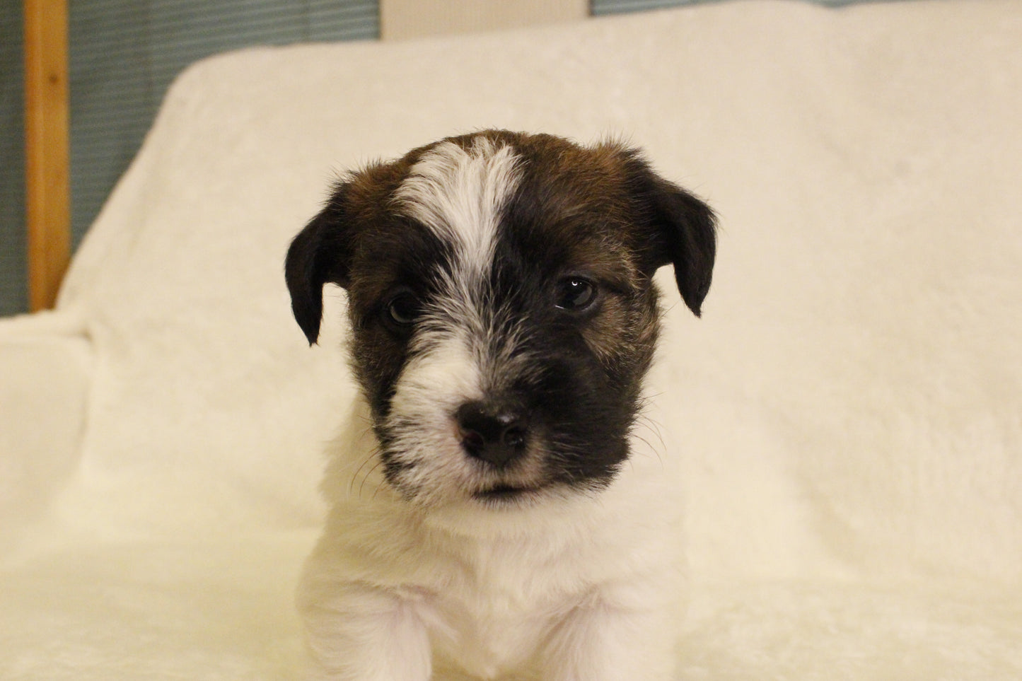 ミルベビー④ 男の子