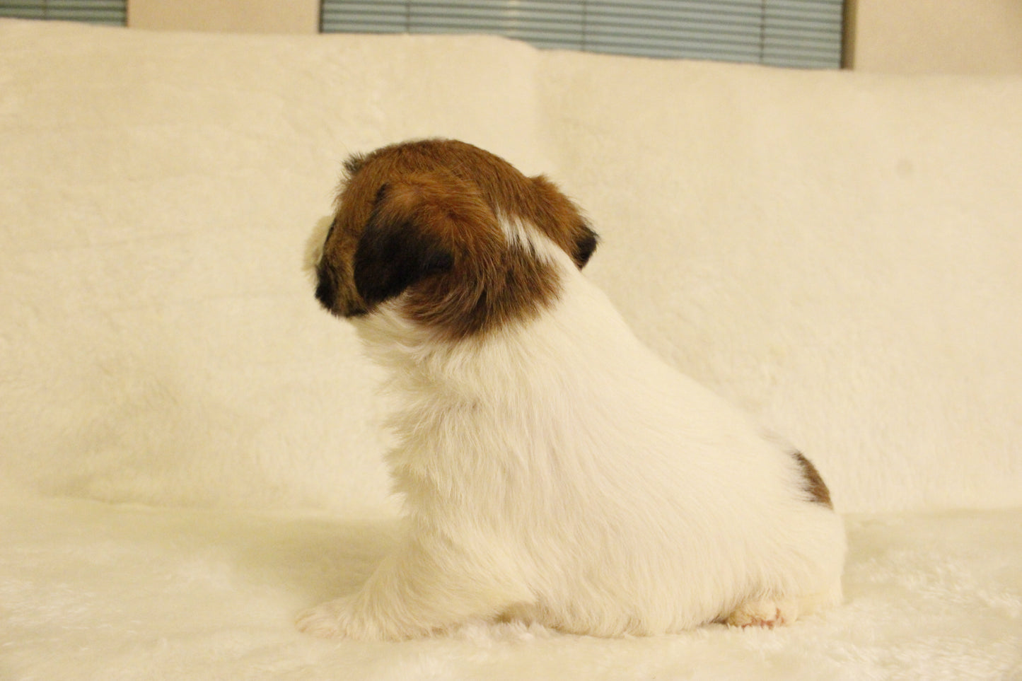 ミルベビー② 男の子