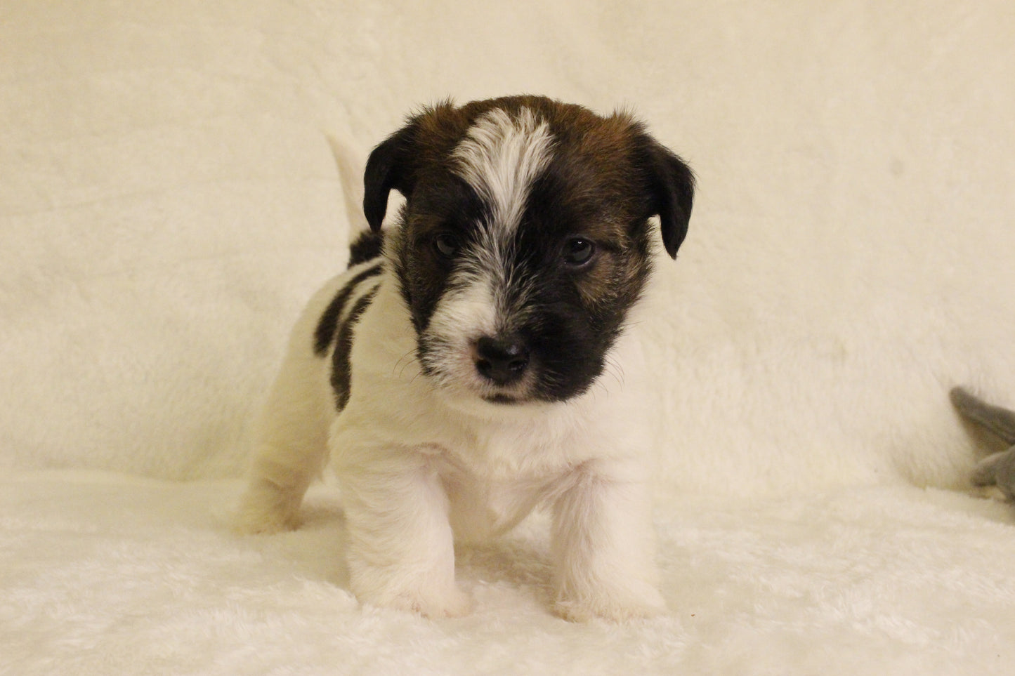 ミルベビー④ 男の子