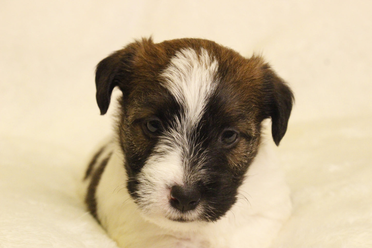 ミルベビー④ 男の子