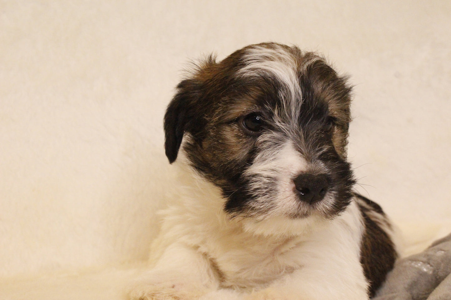 ミルベビー④ 男の子