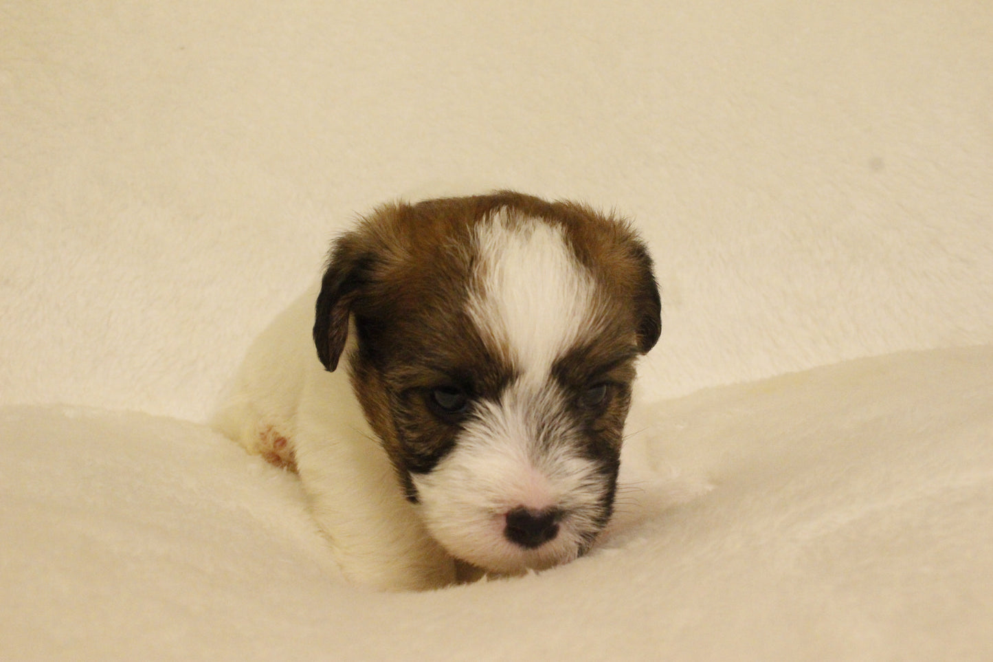 ミルベビー① 男の子