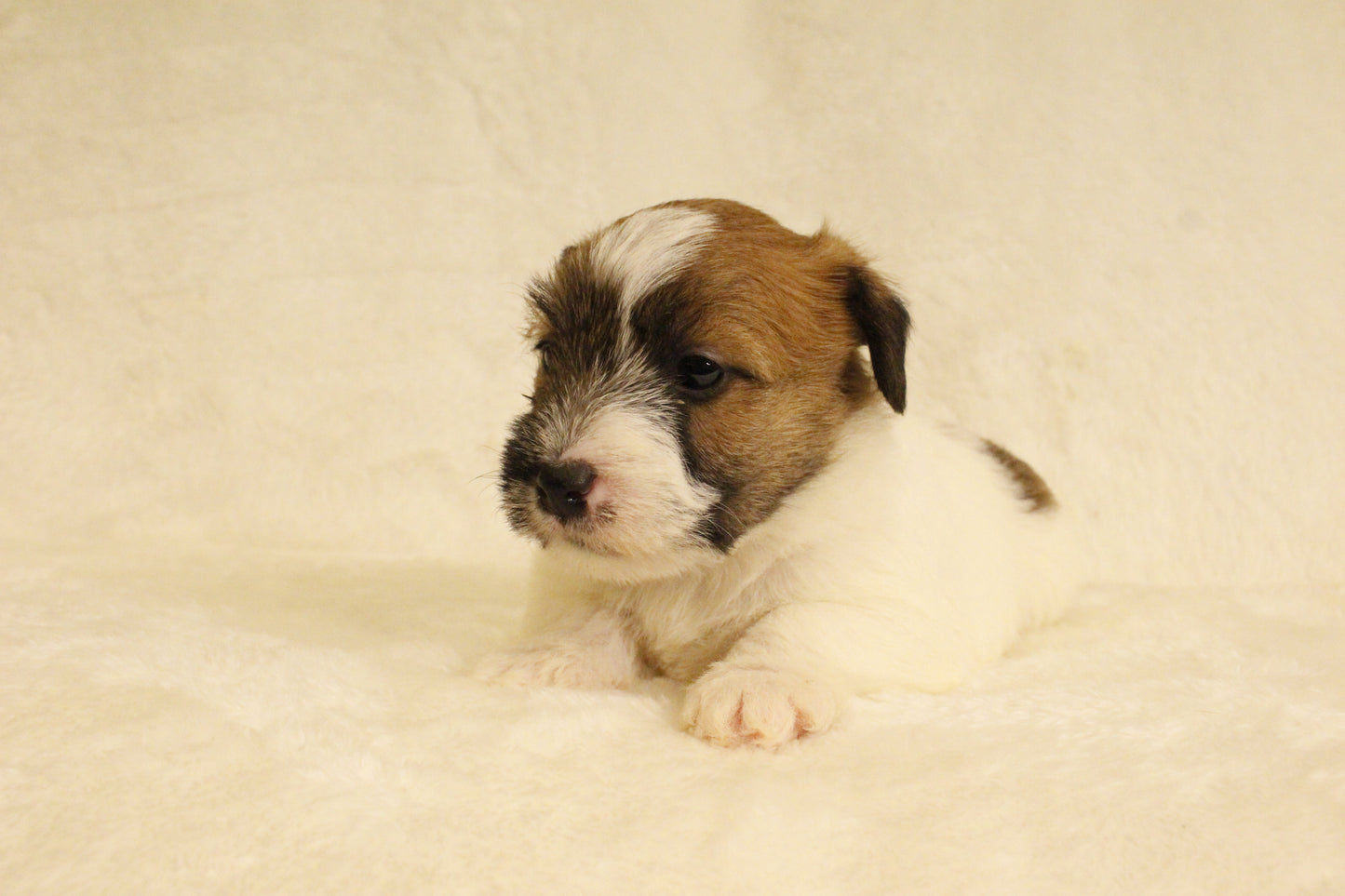 ミルベビー② 男の子