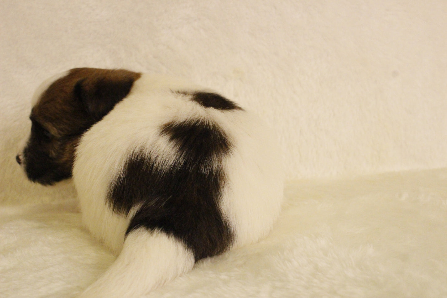 ミルベビー① 男の子