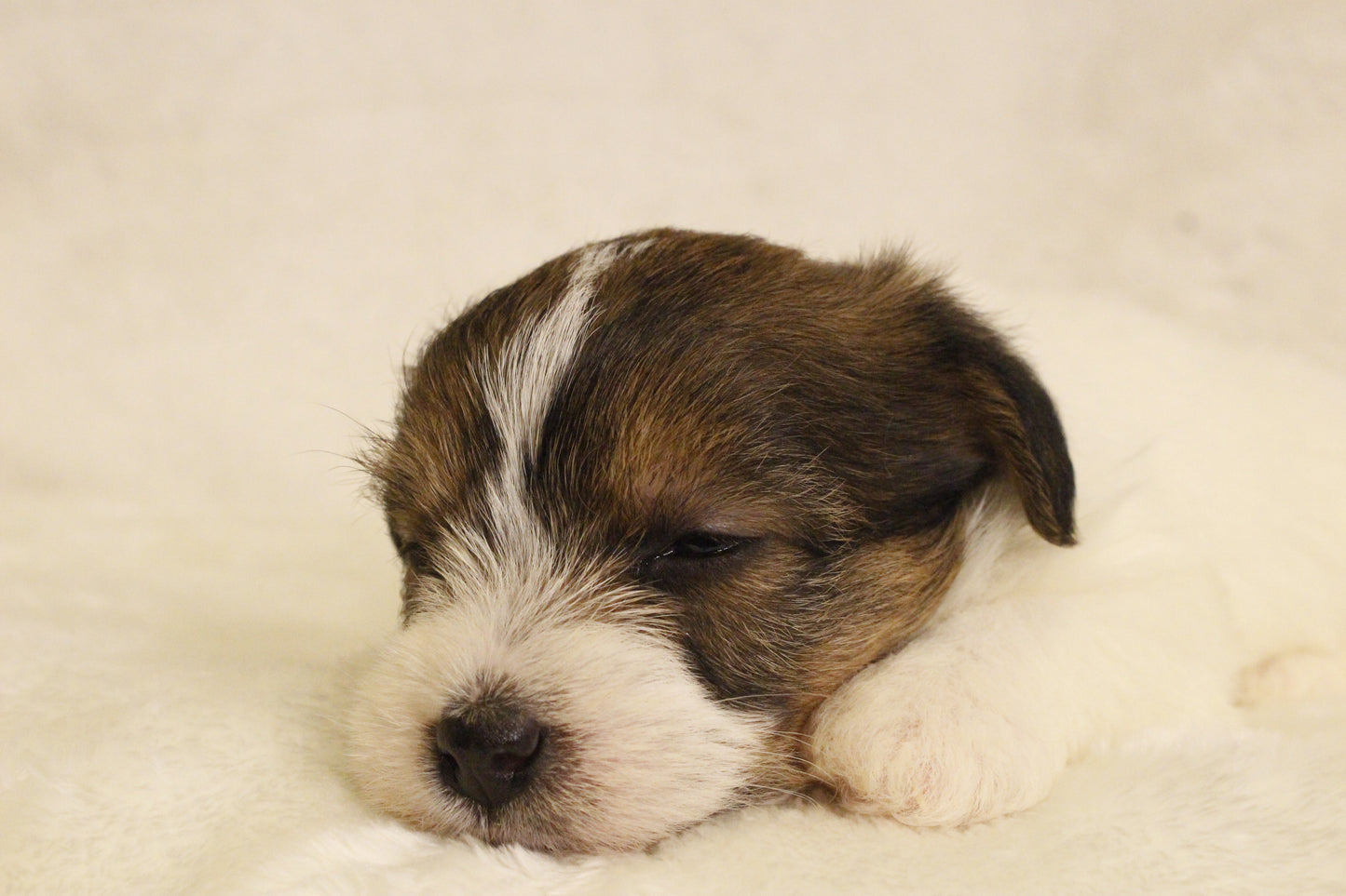 ミルベビー③ 女の子