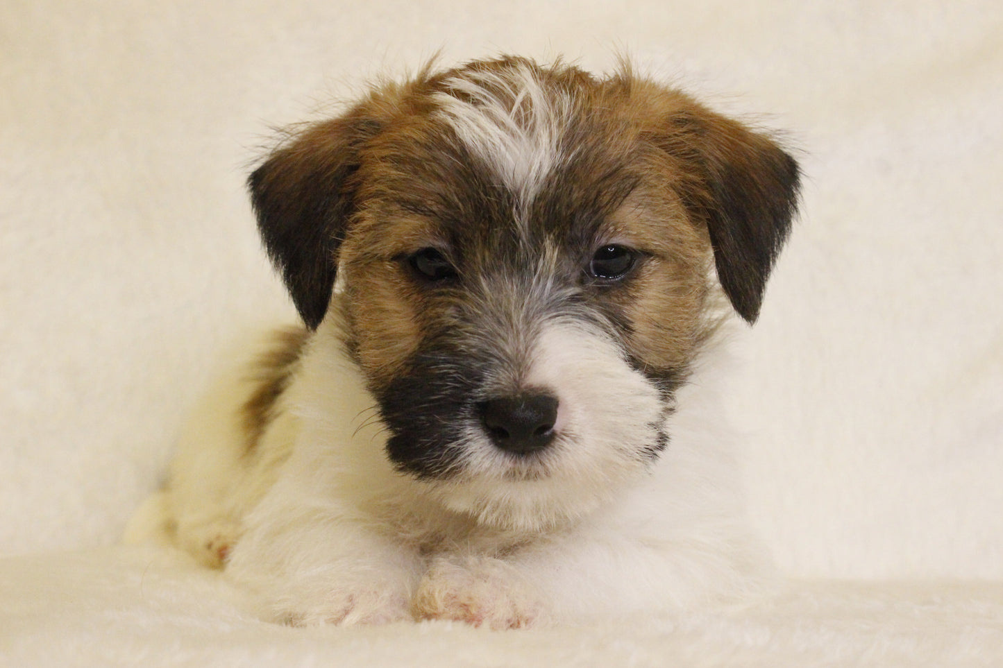 ミルベビー② 男の子