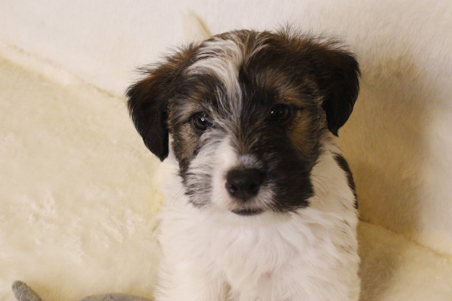 ミルベビー④ 男の子