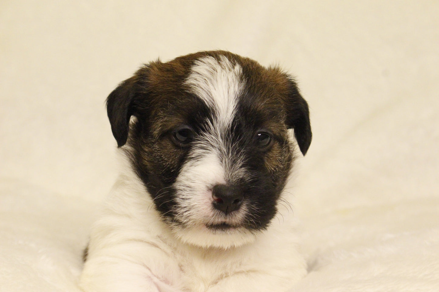 ミルベビー④ 男の子