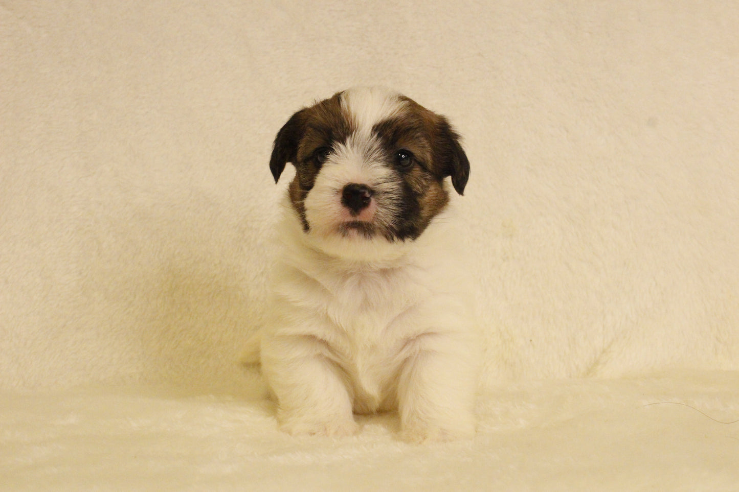 ミルベビー① 男の子