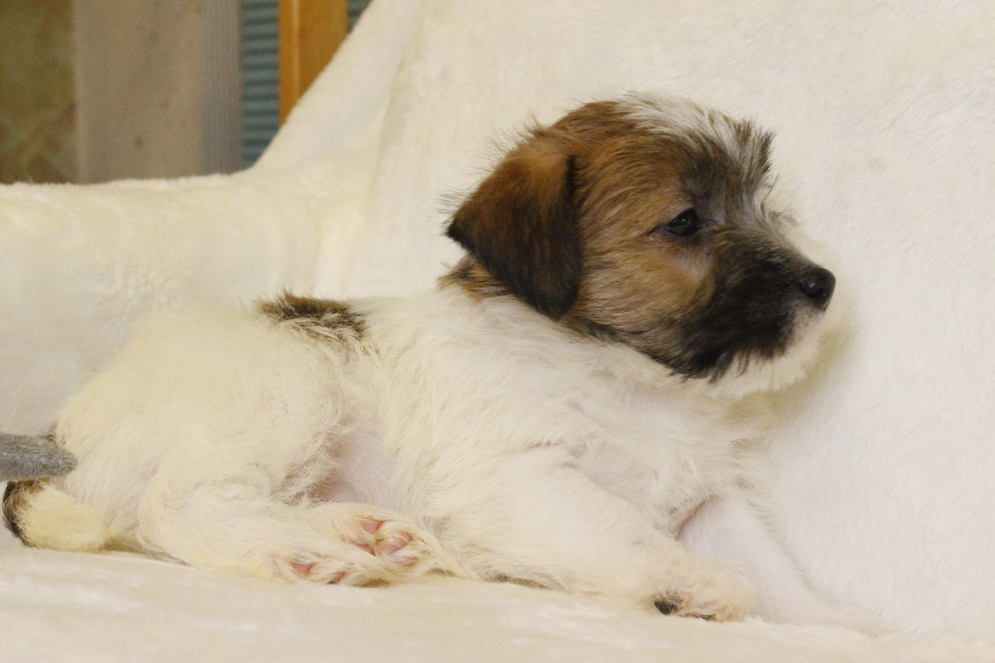 ミルベビー② 男の子