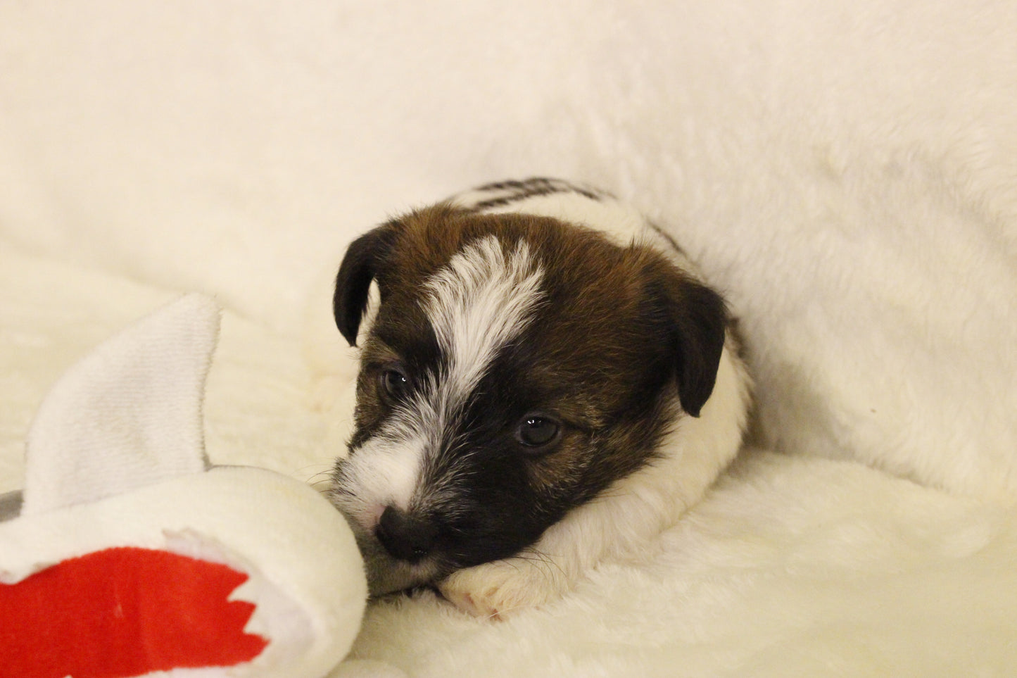 ミルベビー④ 男の子