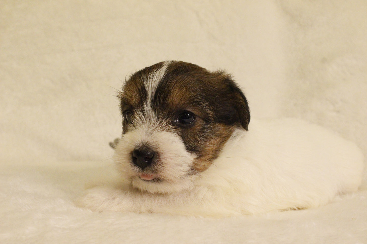 ミルベビー③ 女の子