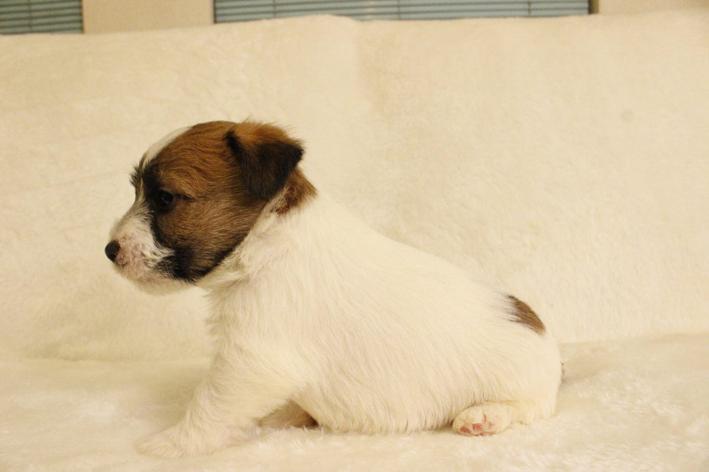 ミルベビー② 男の子