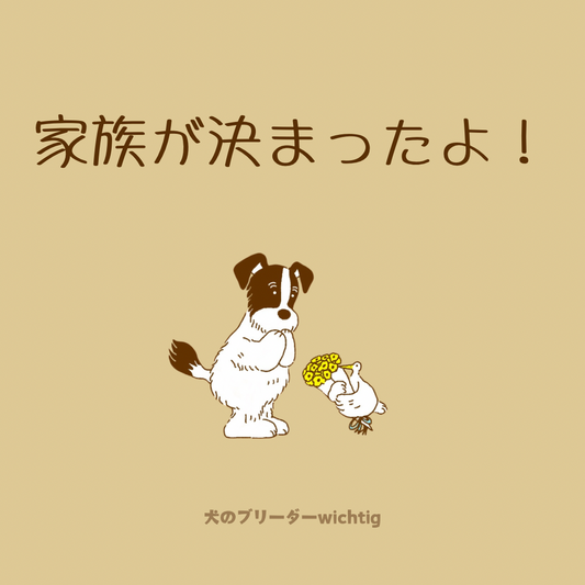 ※家族が決まったよ‼︎むぎベビー③ 男の子