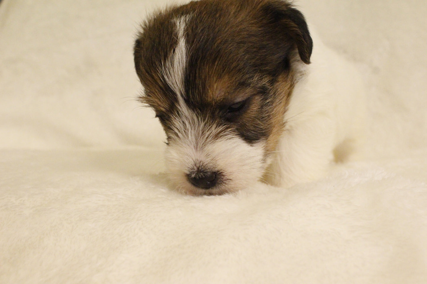 ミルベビー③ 女の子