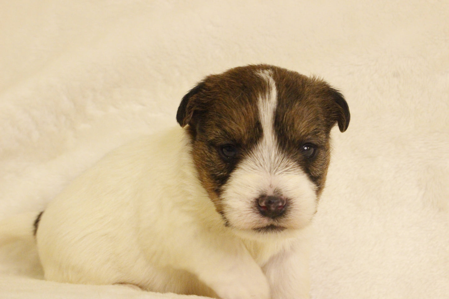 ミルベビー③ 女の子